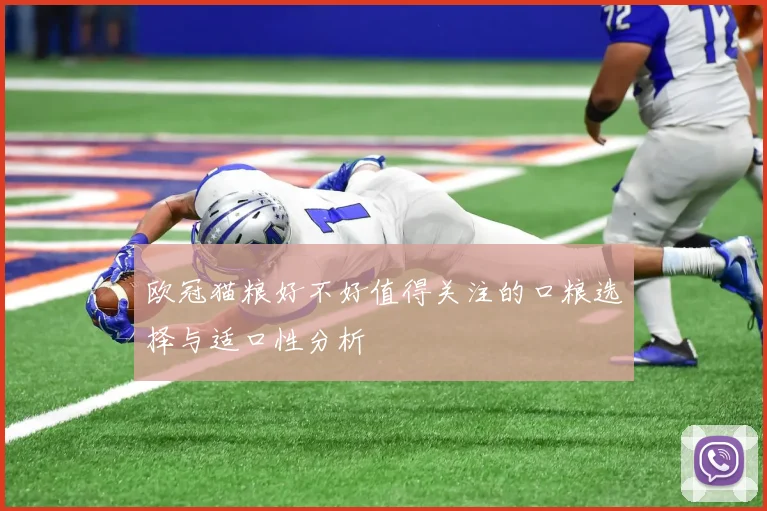 欧冠猫粮好不好值得关注的口粮选择与适口性分析