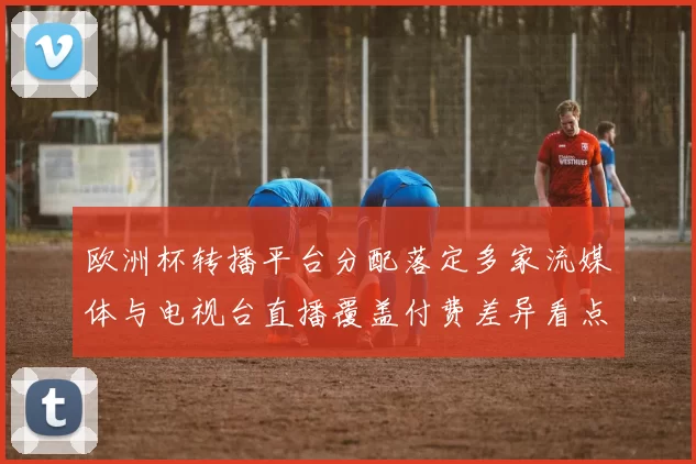 欧洲杯转播平台分配落定多家流媒体与电视台直播覆盖付费差异看点