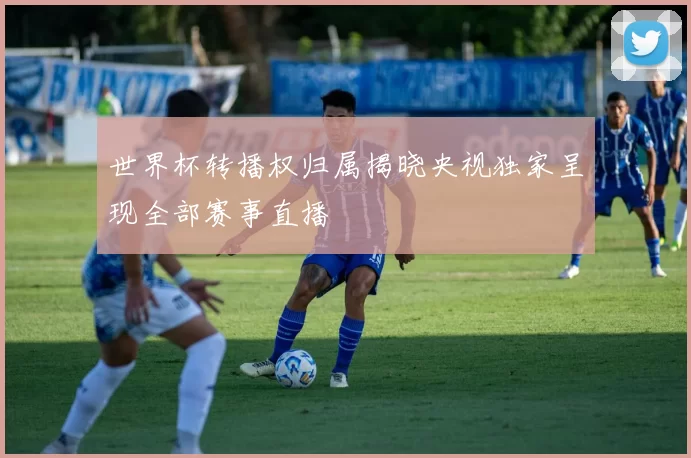 世界杯转播权归属揭晓央视独家呈现全部赛事直播