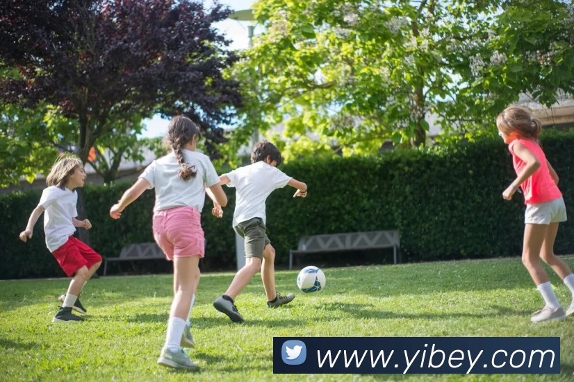 App Interface Preview