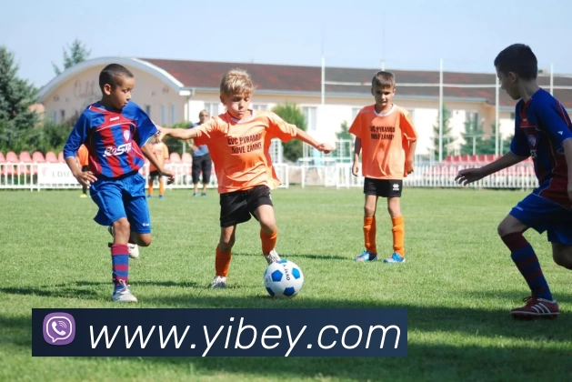 三亿体育app官方下载入口APP 封面图